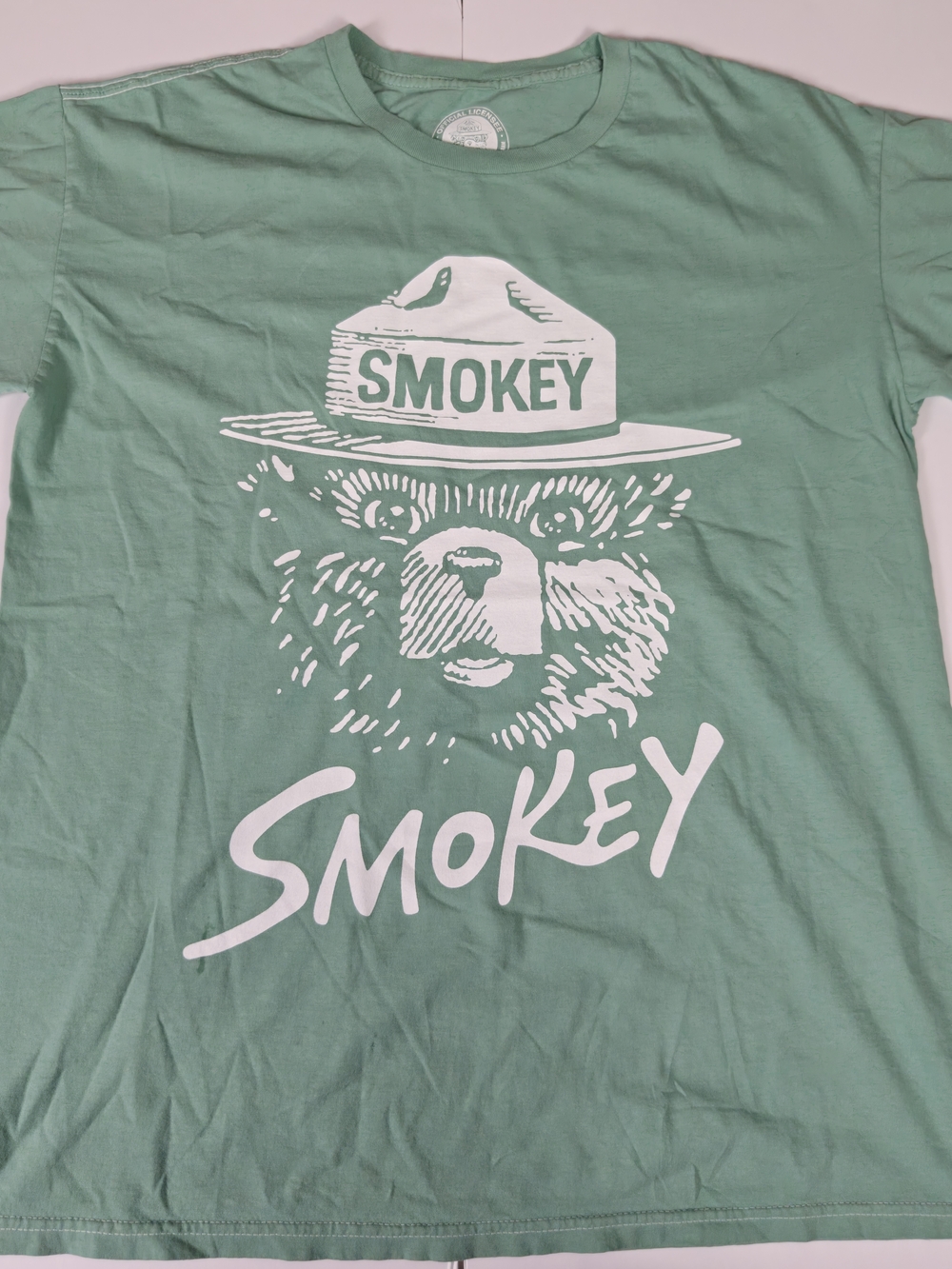 Smokey Bear Graphic Tee in Mint Green